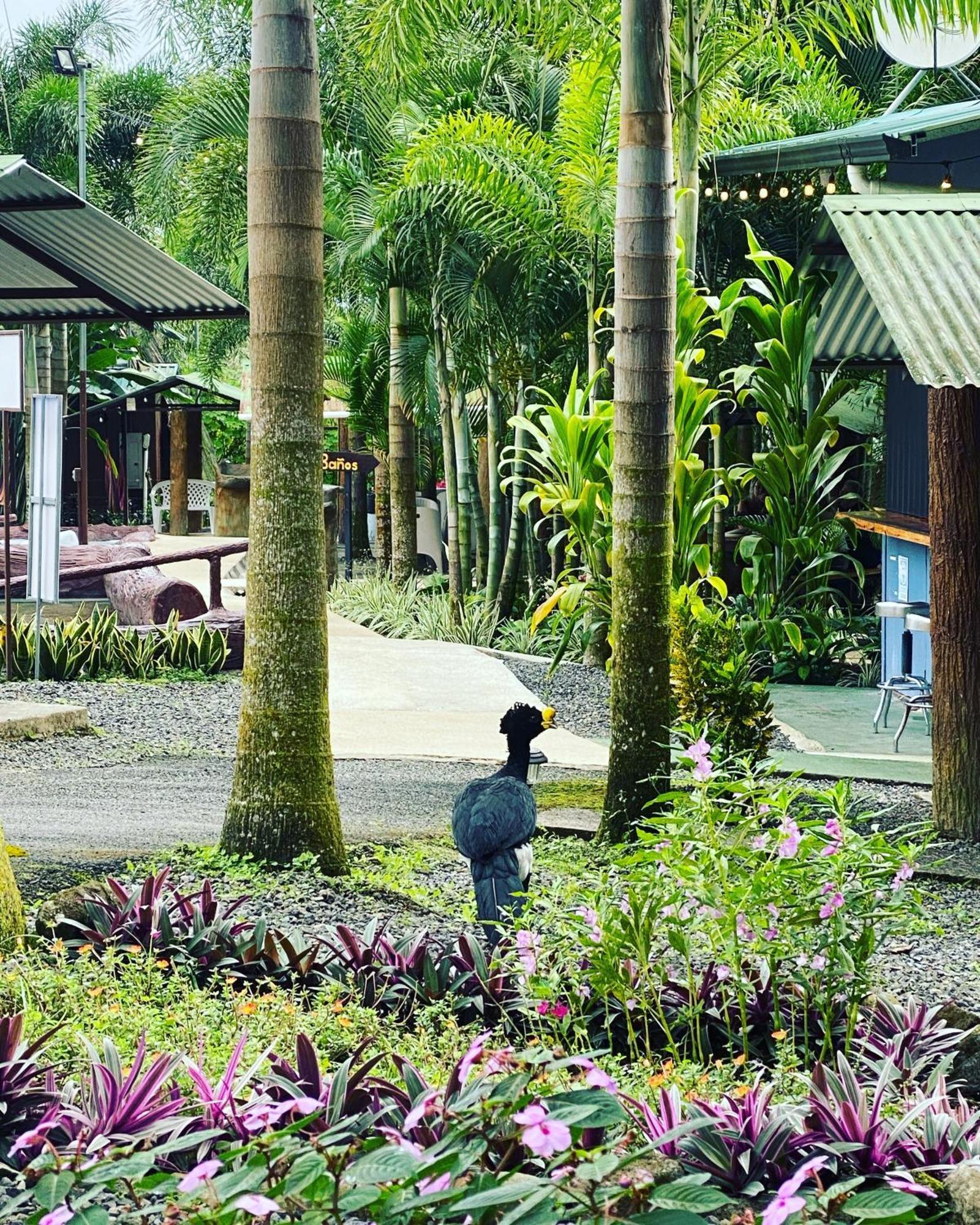 Termales Del Arenal Hotel La Fortuna Exterior foto